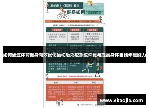 如何通过体育健身有效优化运动后免疫系统恢复与提高身体自我修复能力
