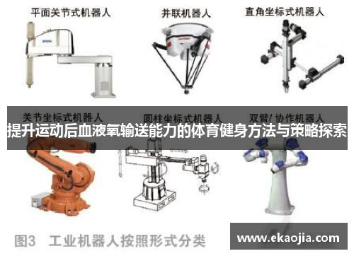 提升运动后血液氧输送能力的体育健身方法与策略探索