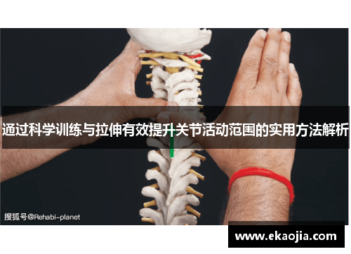 通过科学训练与拉伸有效提升关节活动范围的实用方法解析
