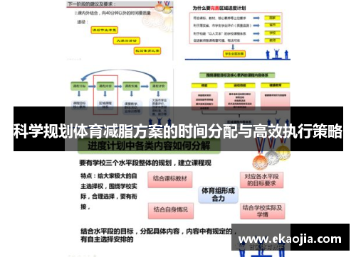 科学规划体育减脂方案的时间分配与高效执行策略