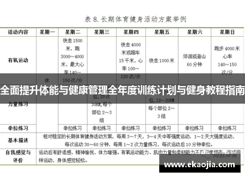 全面提升体能与健康管理全年度训练计划与健身教程指南