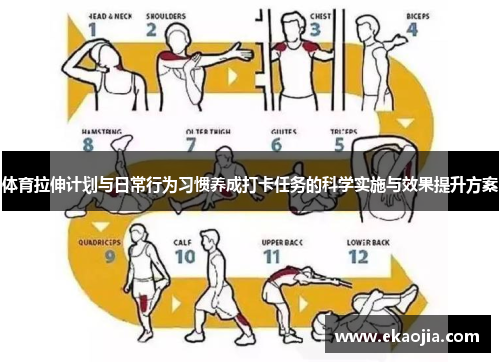 体育拉伸计划与日常行为习惯养成打卡任务的科学实施与效果提升方案