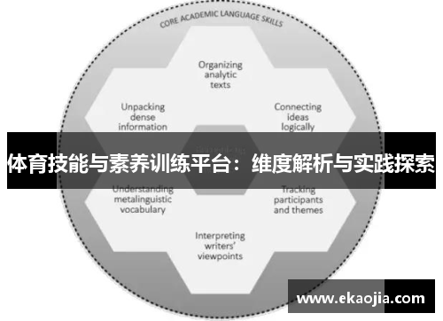体育技能与素养训练平台：维度解析与实践探索