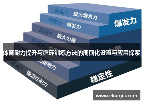体育耐力提升与循环训练方法的周期化设置与应用探索
