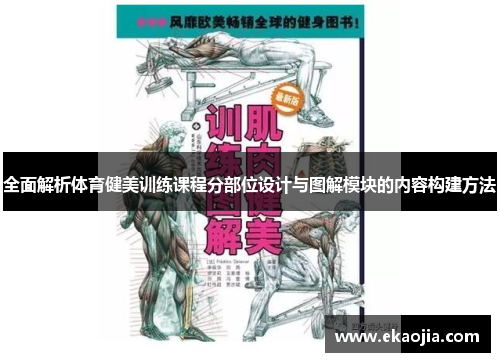全面解析体育健美训练课程分部位设计与图解模块的内容构建方法