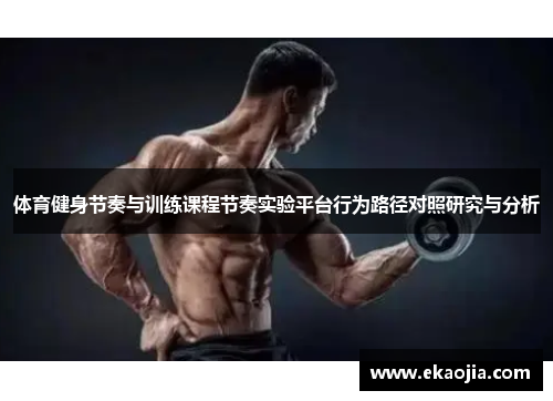 体育健身节奏与训练课程节奏实验平台行为路径对照研究与分析